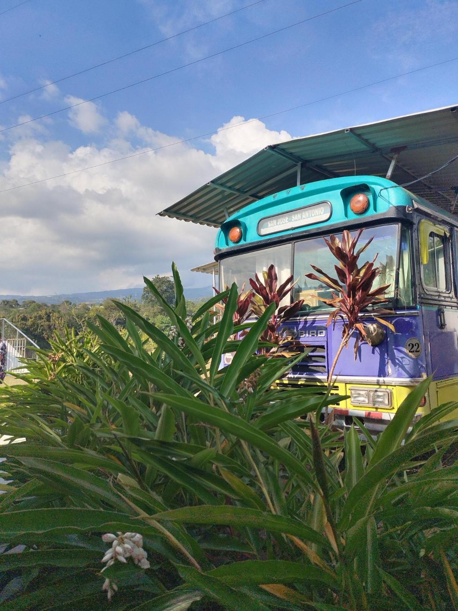 Dreamcatcher House Bus Experience 2 Sarchí エクステリア 写真